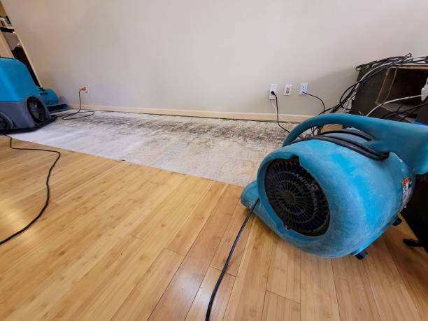 Professional Flood Damage Cleanup technician working in Dexter, MO